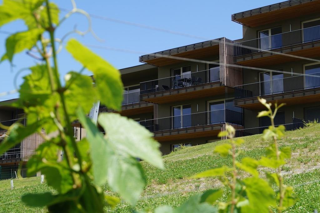 Relax Residence Suedsteiermark Ehrenhausen Pokój zdjęcie